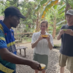 Exploring the chill, euphoriant ritual of drinking kava at an Uripiv, Vanuatu nakamal